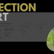 Selection Sort With Visualization JavaScript