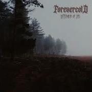 Forevercold Hungary Bitterness Of Life 2026 Full Length