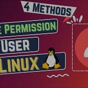 How To Give Permission To User In Linux 4 Methods LinuxSimply