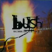 Bush Swallowed