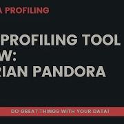 Data Profiling With Experian Pandora