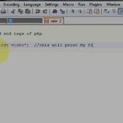 1 Print String Using Echo In PHP