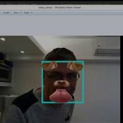 Images With Python 7 Cartoon Face Filter Instagram Snap Style