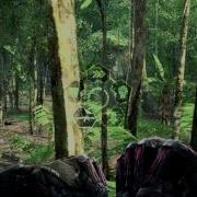Видео тест 2 Avi