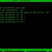 Positional Parameters BASH Script Tutorial