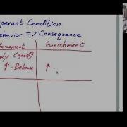 Cognitive Development Operant Condition Information Processing Model Of Memory Dr McMunn