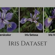 Decision Tree Classifier On Iris Dataset