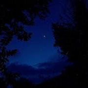 Seeptake Night Demo