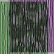 Monstein Moire