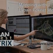 Tree Mapping For Arborists Tree Inventories