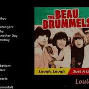 The Beau Brummels Greatest Hits American Pop And Folk Rock Band From California Formed In 1964