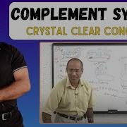 Innate Immunity Complement System Immunology Dr Najeeb
