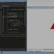 Intro To The Python Turtle Module