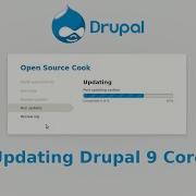 Drupal 9 How To Update Drupal Core
