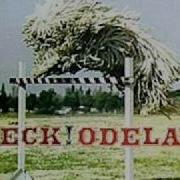 Beck Ramshackle