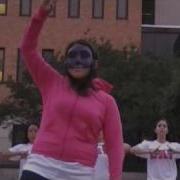 Sigma Lambda Gamma UT Spring 2009 Probate 6 Of 8