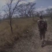 Close Encounters Huge African Rock Python