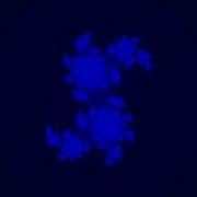 Julia Set Animation