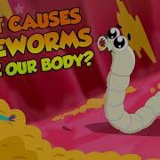 What Causes Tapeworms Inside Our Body Tapeworm Infection The Dr Binocs Show Peekaboo Kidz