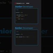 Junior Vs Senior Backend Developer