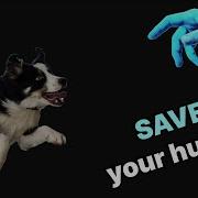 Be The Goodest Boy Rescue Your Owner S Soul Devlog 1 GameMaker