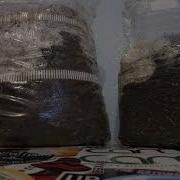 Spawn Bags Time Lapse 1 0 Sac O2 Vs Root Mushroom Farm Over 3 Days