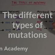 The Different Types Of Mutations Biomolecules MCAT Khan Academy