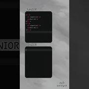Junior Vs Senior Web Developer Webdevelopment Coding