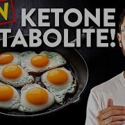 Are BHB Amino Acids The Missing Link To Keto Weight Loss