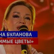 Любимые цветы Татьяна Буланова 2025
