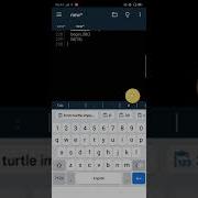 How To Draw Doraemon With Python Turtle