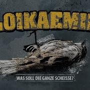 LOIKAEMIE Was Soll Die Ganze Scheisse Official Video