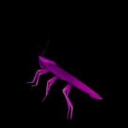 30 Minutes Of Rainbow Cockroach Dancing To Low Quality Funky Town