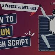 How To Run A Bash Script 2 Effective Methods With Practical Examples LinuxSimply