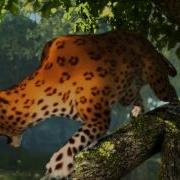 Polymorph Software Demoreel 2012