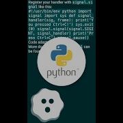 How Do I Capture SIGINT In Python Shorts