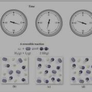 The Concept Of Dynamic Equilibrium