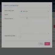 Create Custom Fields AMPED CRM ADMIN