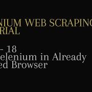 18 Run Selenium In Already Opened Browser Python
