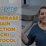 Polymerase Chain Reaction PCR Protocol