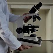 How To Use A Compound Microscope Binocular Brightfield Microscope