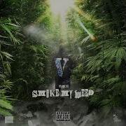Smoke My Weed HR Micro