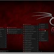17 Backtrack Attack Demonstration