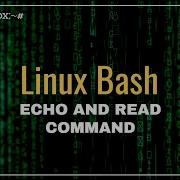 How To Use Echo And Read Command In Bash