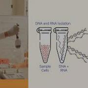 Multiomics Quick Start Sequencing DNA And RNA From The Same Sample