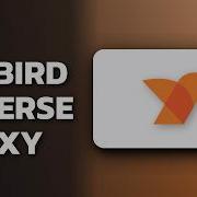 NetBird Reverse Proxy Better Than Cloudflare Tunnels