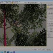 Speed Modelling Of A 3D Tree