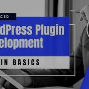 Основы плагинов 1 Продвинутая разработка плагинов WordPress