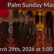 Palm Sunday Mass March 29th 2026 At 5 00 PM