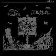 Instinct Of Survival Stormcrow Deviated Instinct
